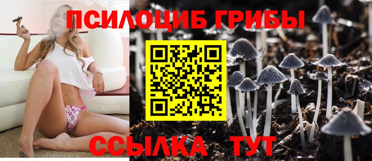 Псилоцибиновые грибы мицелий Чехов