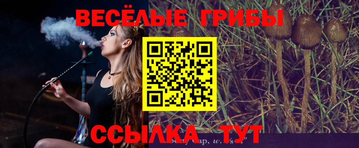 Галлюциногенные грибы мухоморы  продажа наркотиков  Чехов  Вход с VPN 